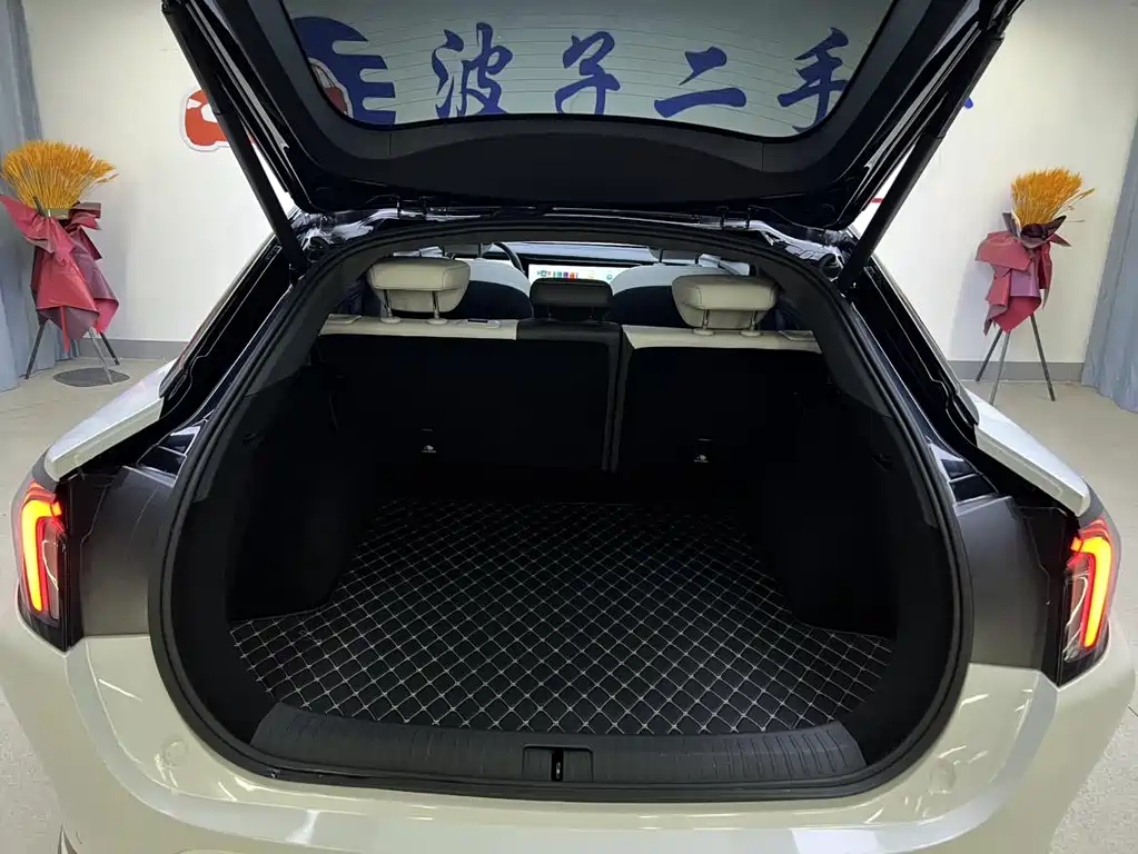 ARCFOX EXTREME FOX POLAR FOX ALPHA S