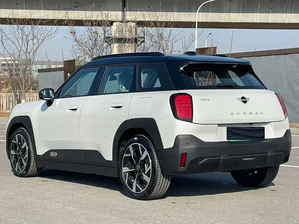 MINI ELECTRIC  ACEMAN