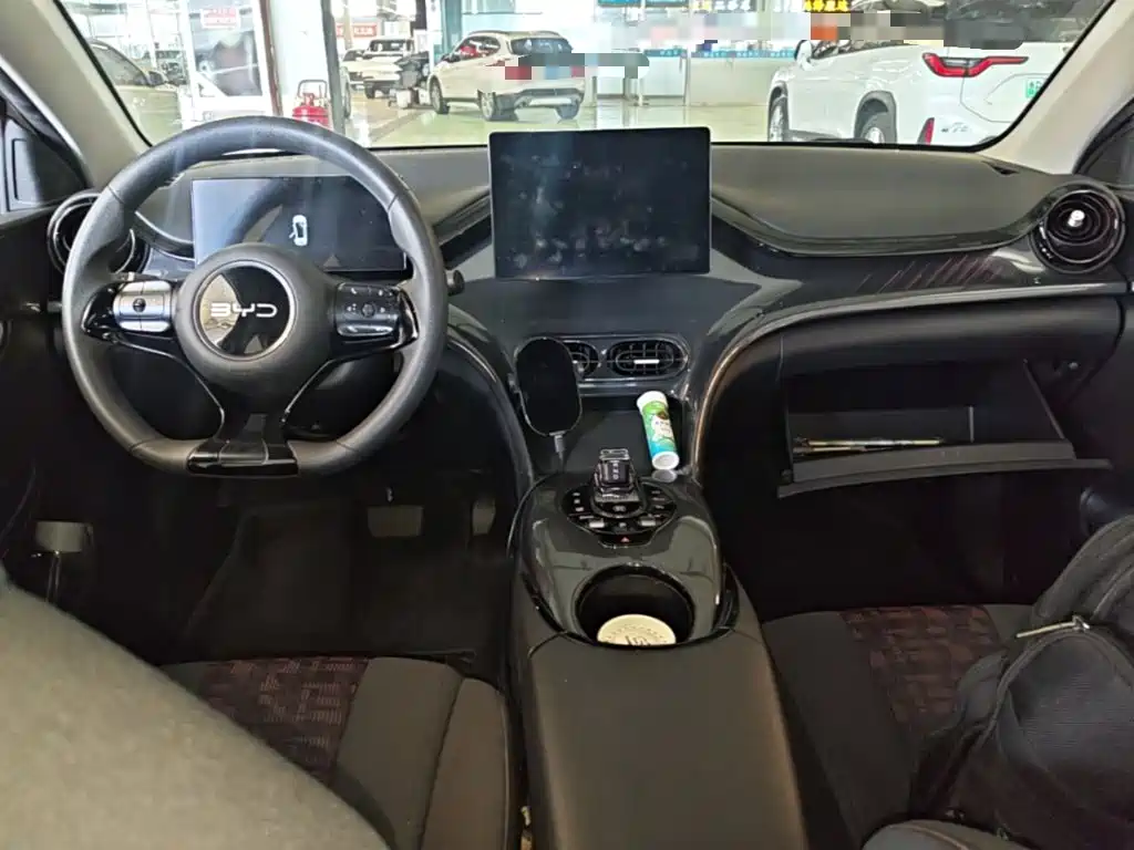 BYD e2 — миниатюра 10