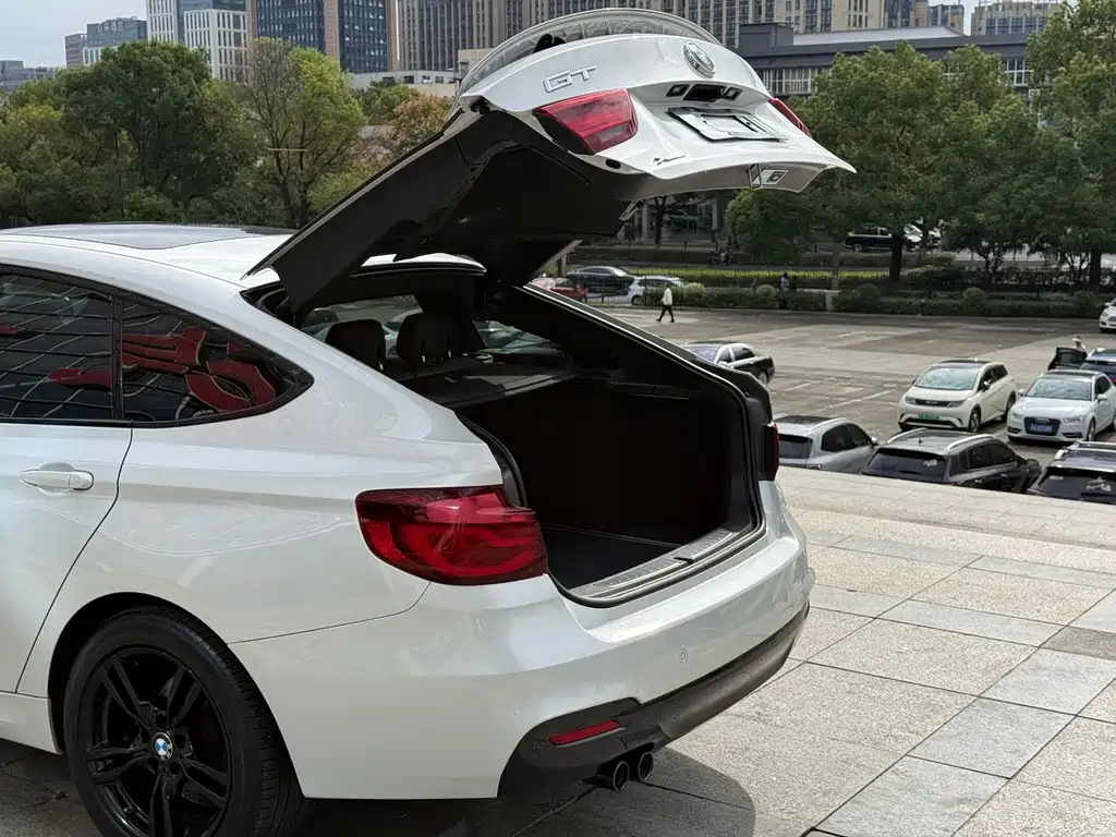 BMW 3 Series GT — миниатюра 21