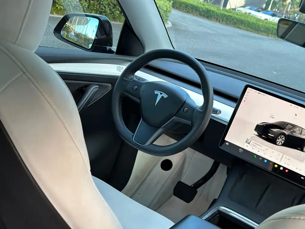 Tesla Model Y — миниатюра 14