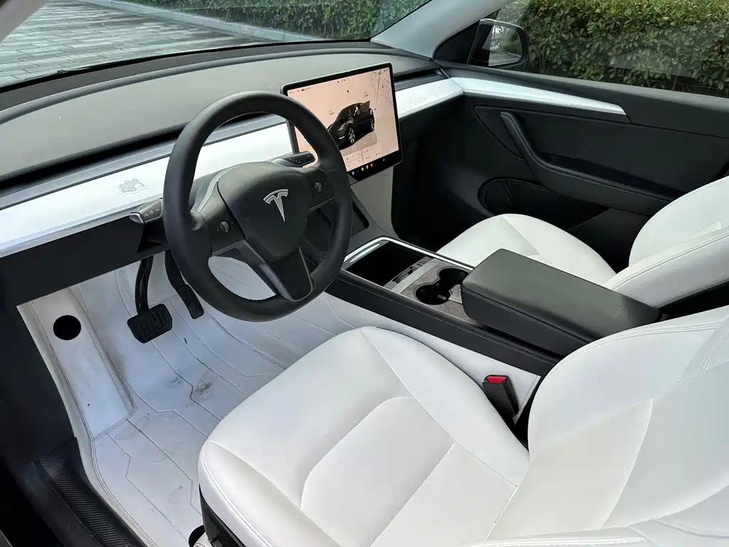 Tesla Model Y — миниатюра 9