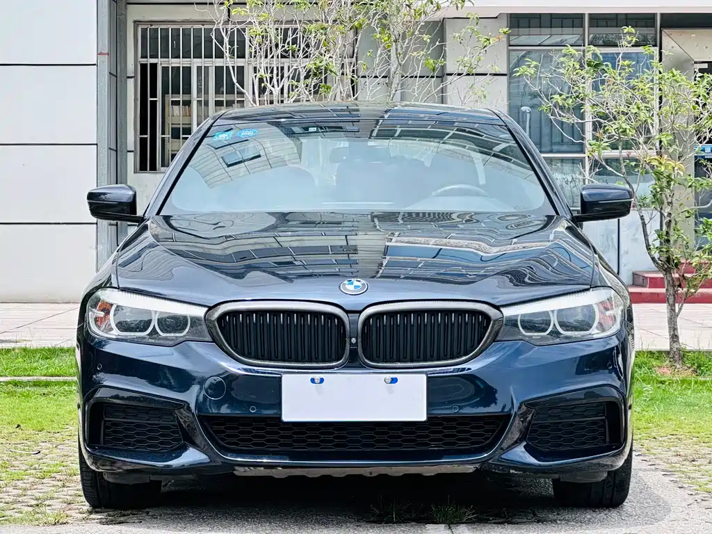 BMW 5 Series 5 2019 530Li Lead M Sport
