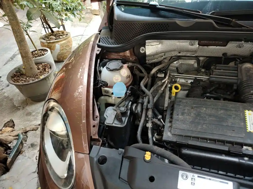 Volkswagen Beetle — миниатюра 19