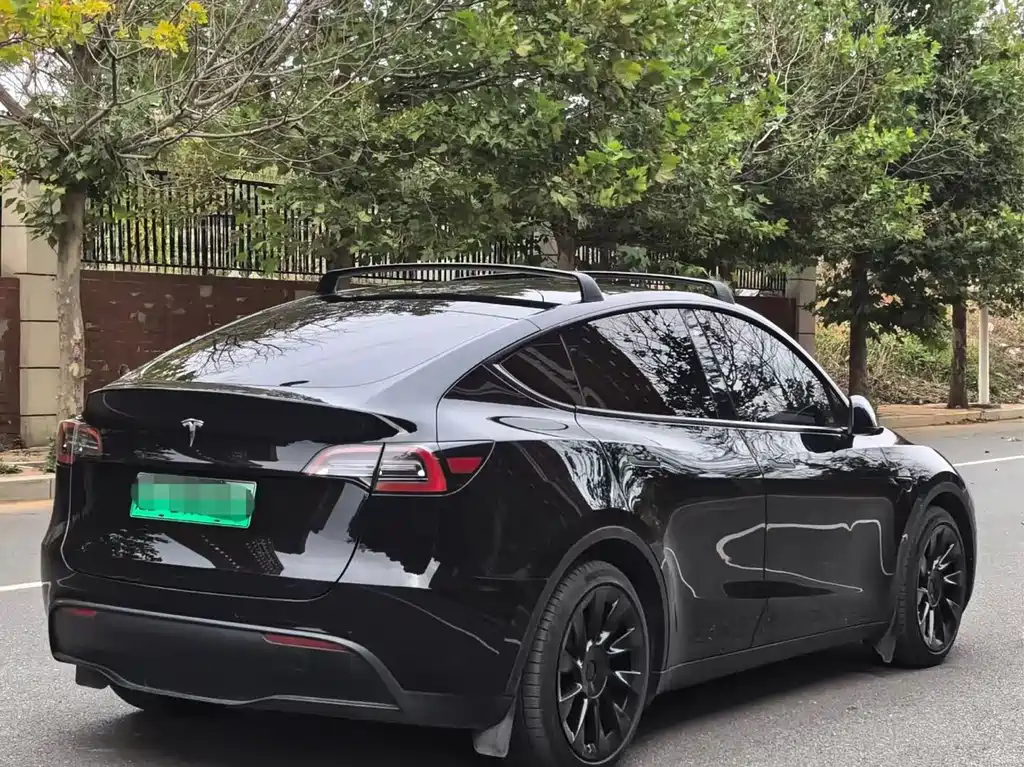 Tesla Model Y — миниатюра 6