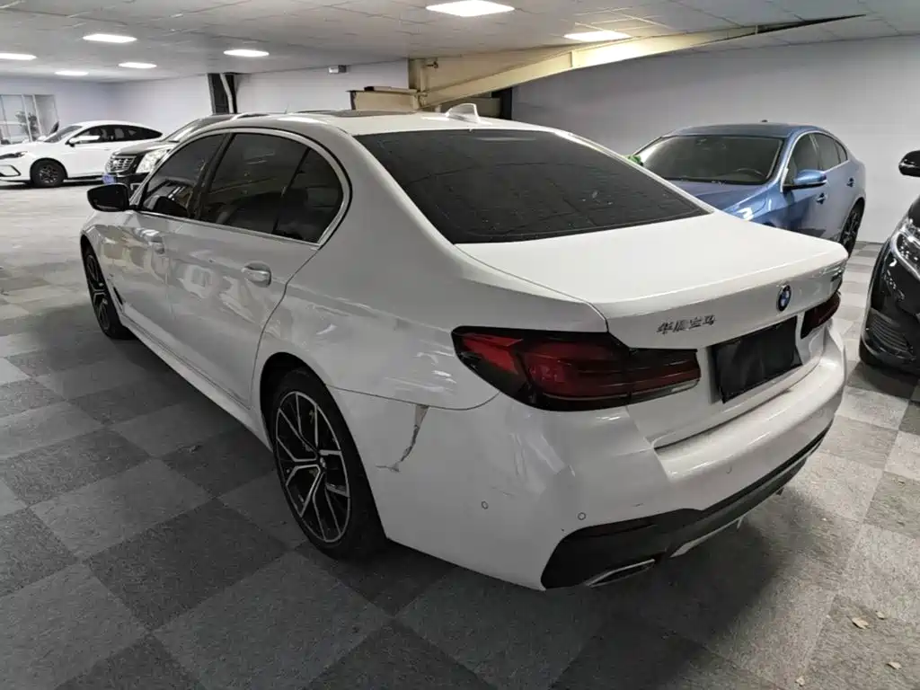 BMW 5 Series — миниатюра 5