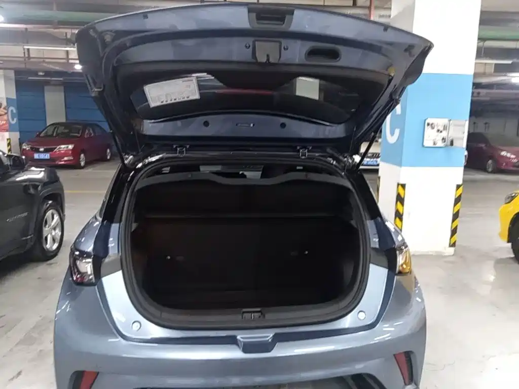 BYD Dolphin — миниатюра 19