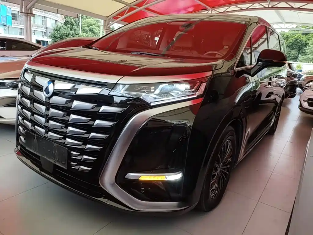 Denza D9