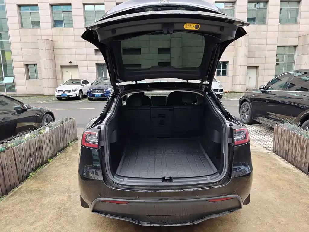 Tesla Model Y — миниатюра 18