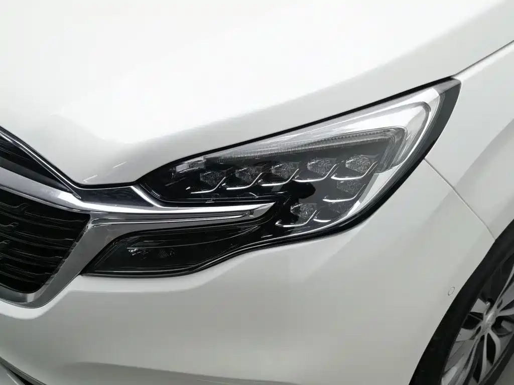 Buick GL8 — миниатюра 7