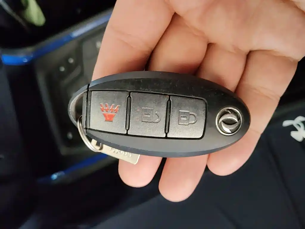 Dongfeng Rich 6 New Energy — миниатюра 9