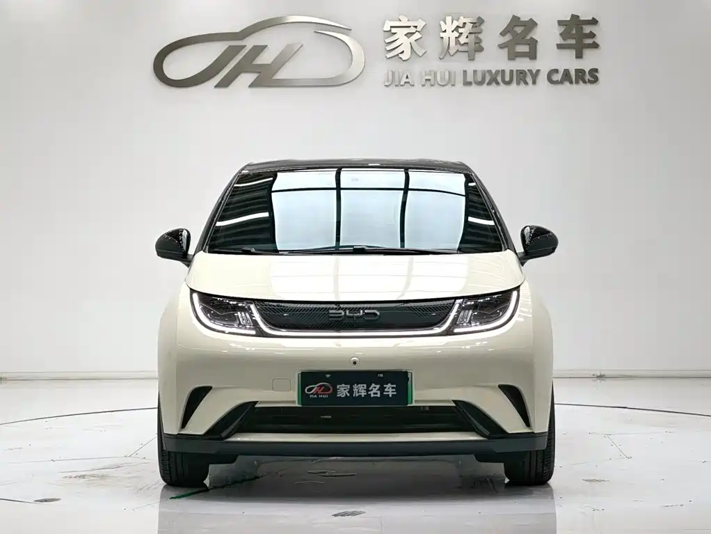 BYD Dolphin — миниатюра 2