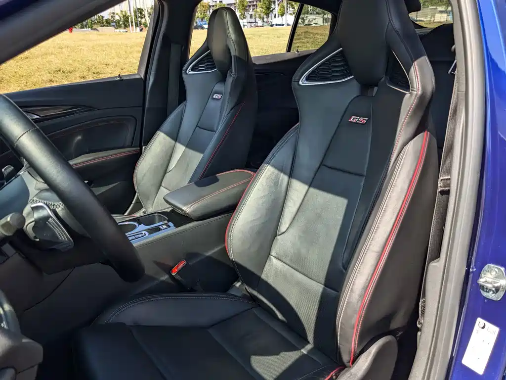 Buick Regal — миниатюра 7