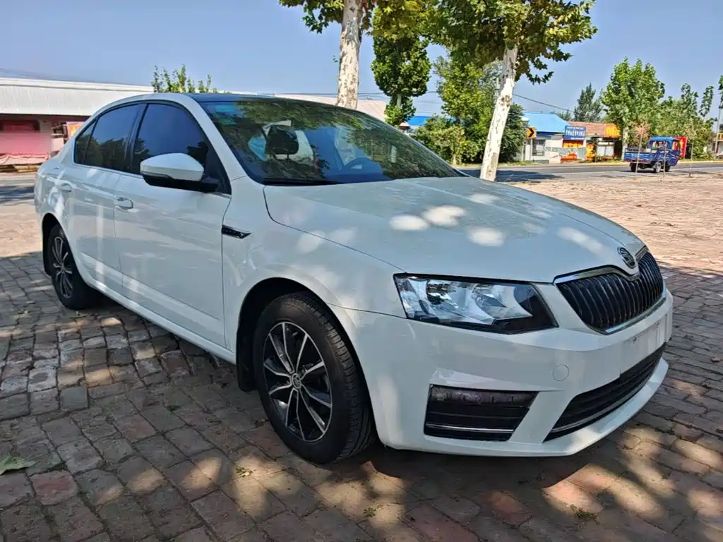 Skoda Octavia — миниатюра 4
