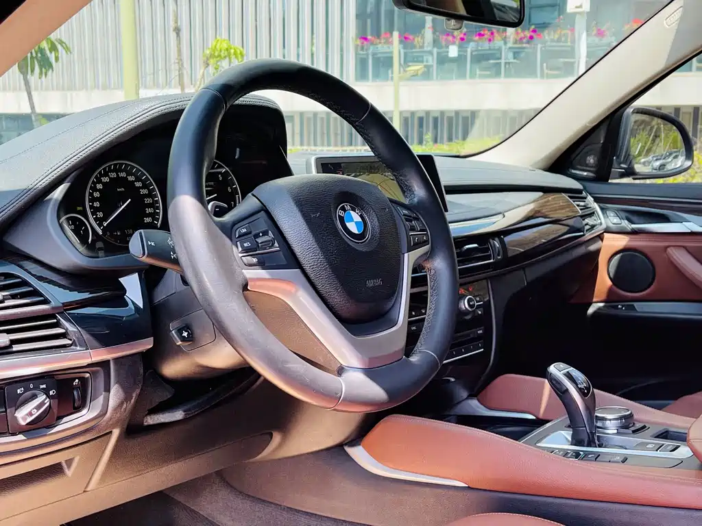 BMW X6 xDrive35i Leading Type, фото 8