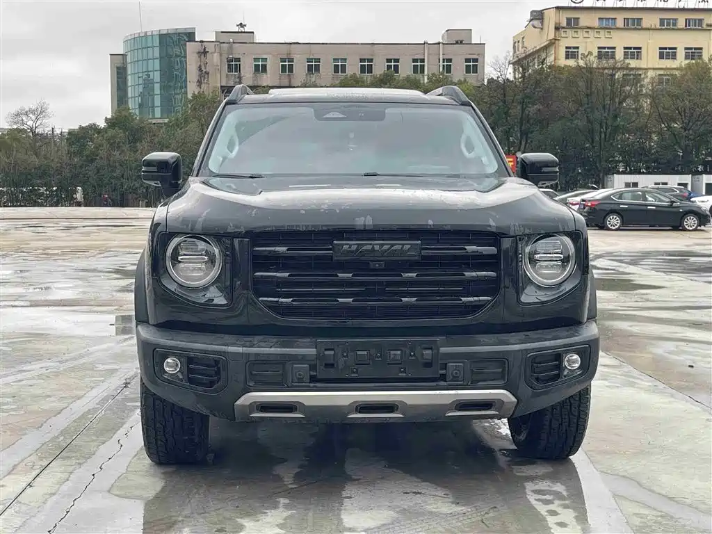 HAVAL BIG DOG