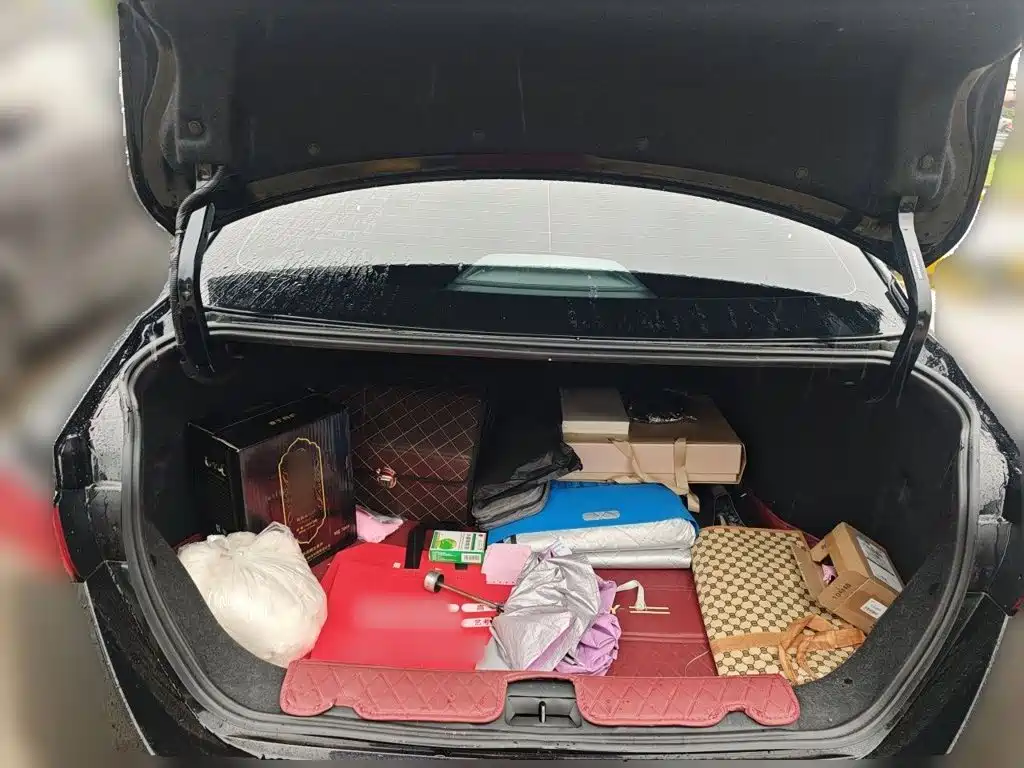 Nissan Sylphy — миниатюра 10