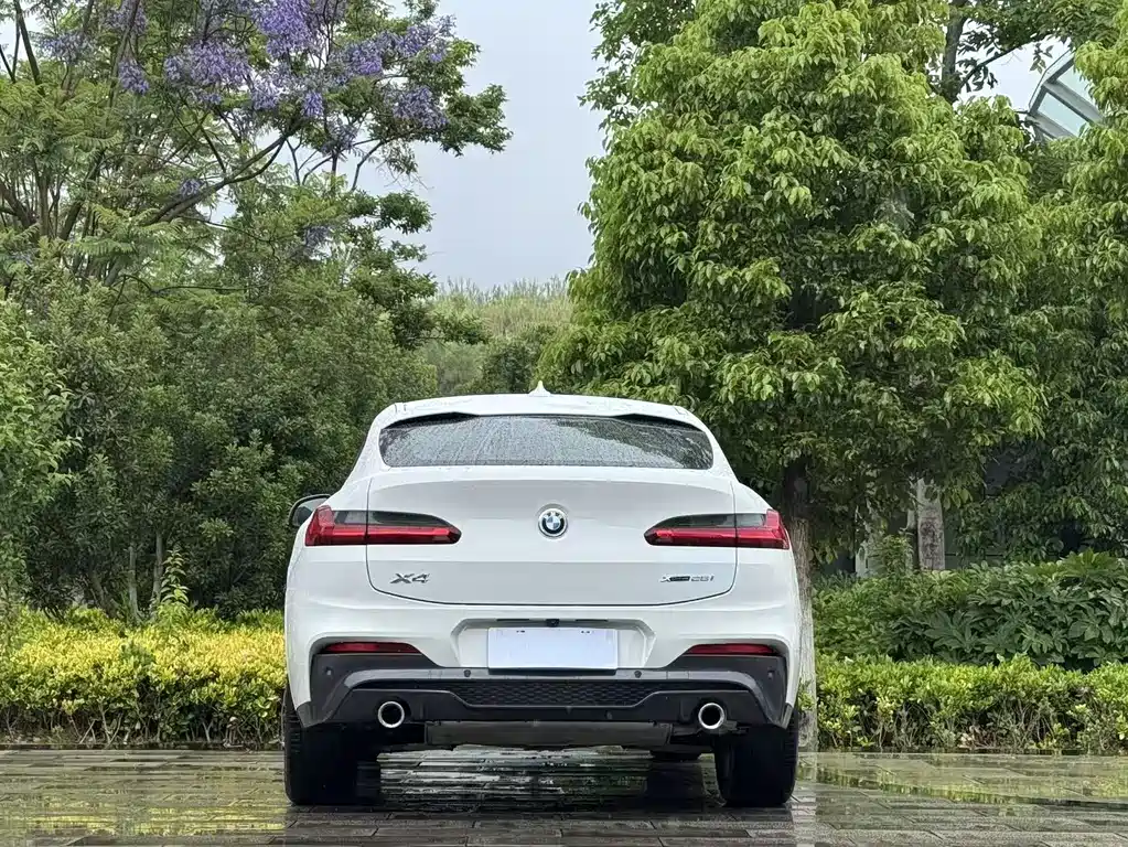 BMW X4 2019 xDrive25i M Sport