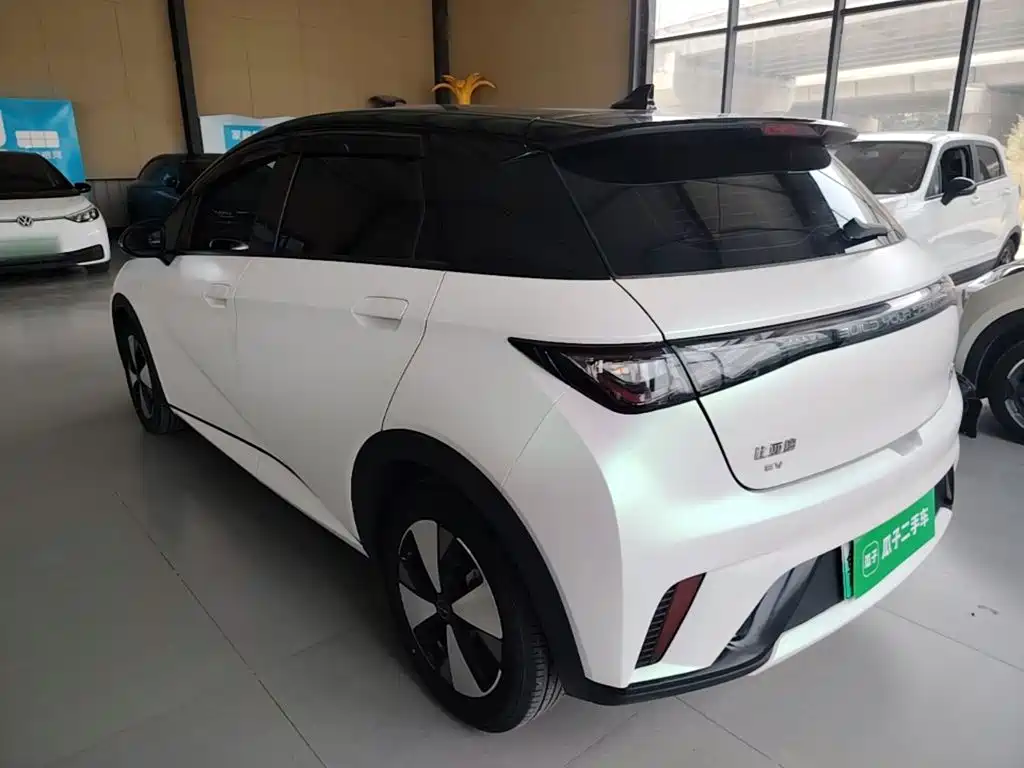 BYD Dolphin — миниатюра 5
