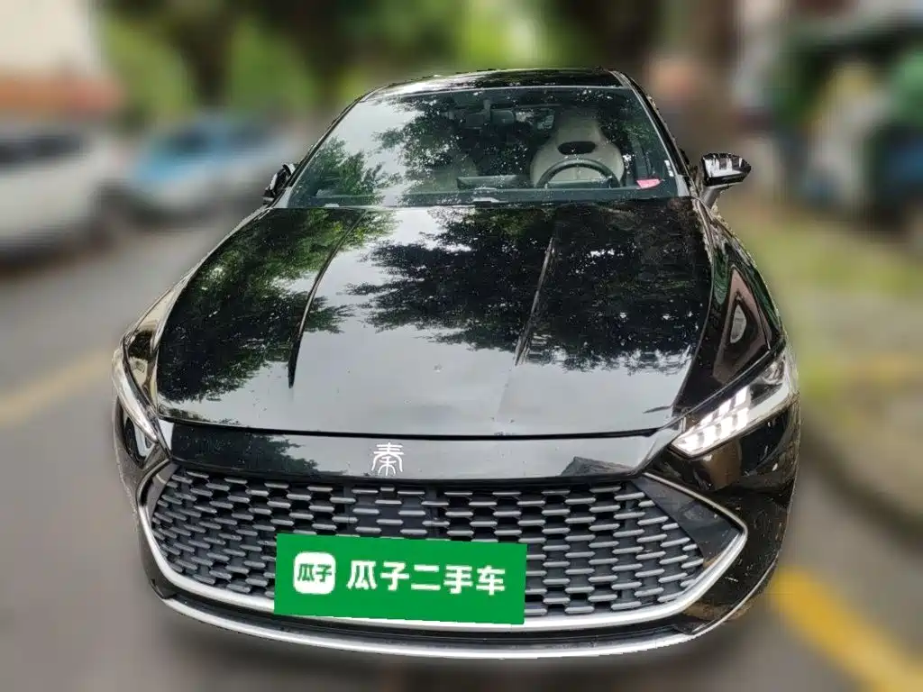 BYD Qin Plus PLUS 2024 DM-i 55KM Lead
