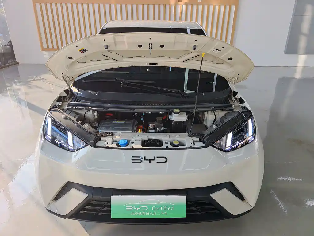BYD Seagull — миниатюра 15