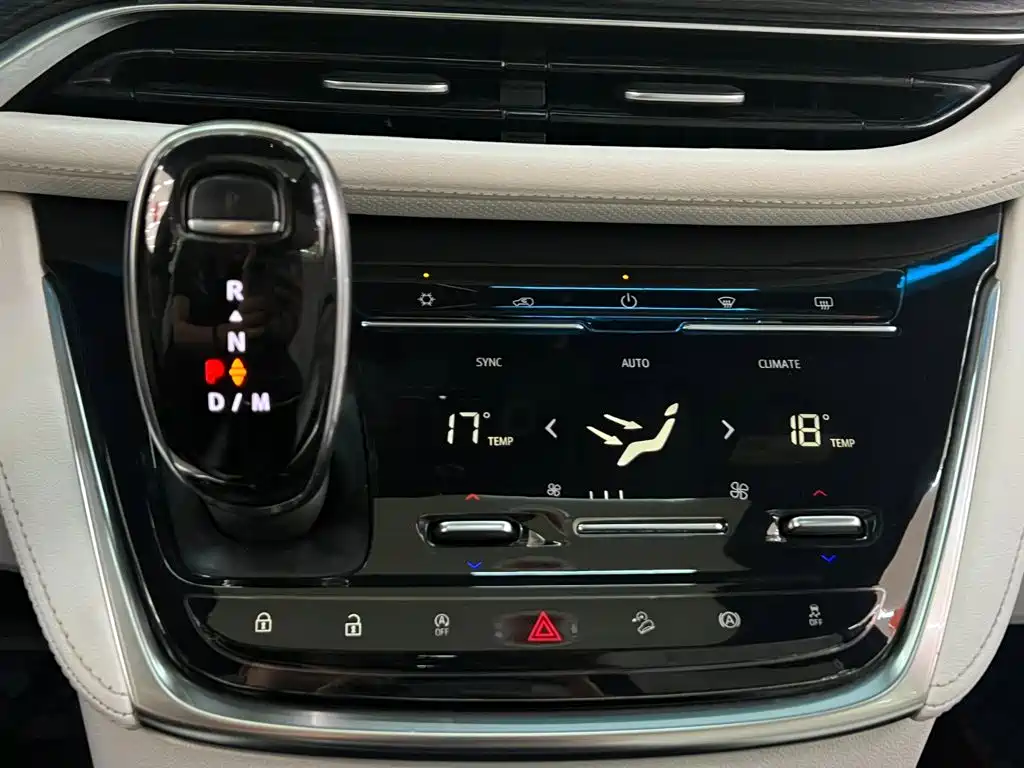 Buick GL8 Avenir Avenir 4-seat Premium Ceremony Edition, фото 13