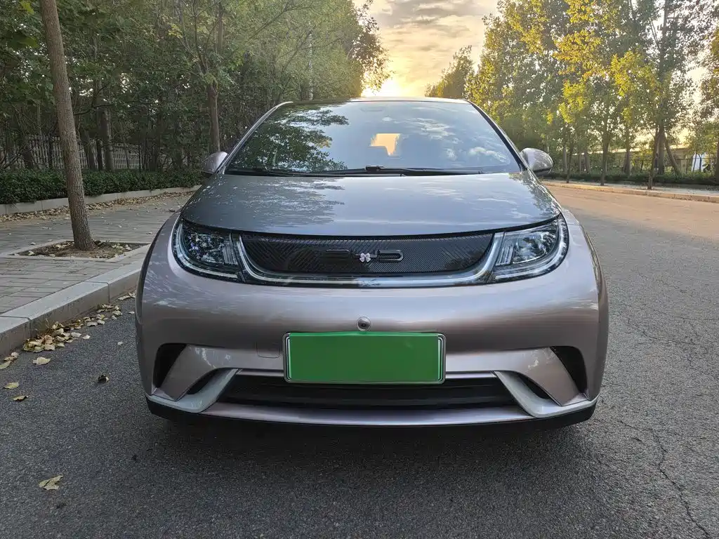 BYD Dolphin — миниатюра 24
