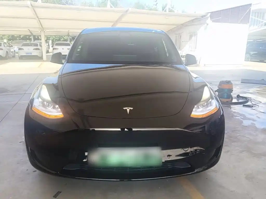Tesla Model Y — миниатюра 3