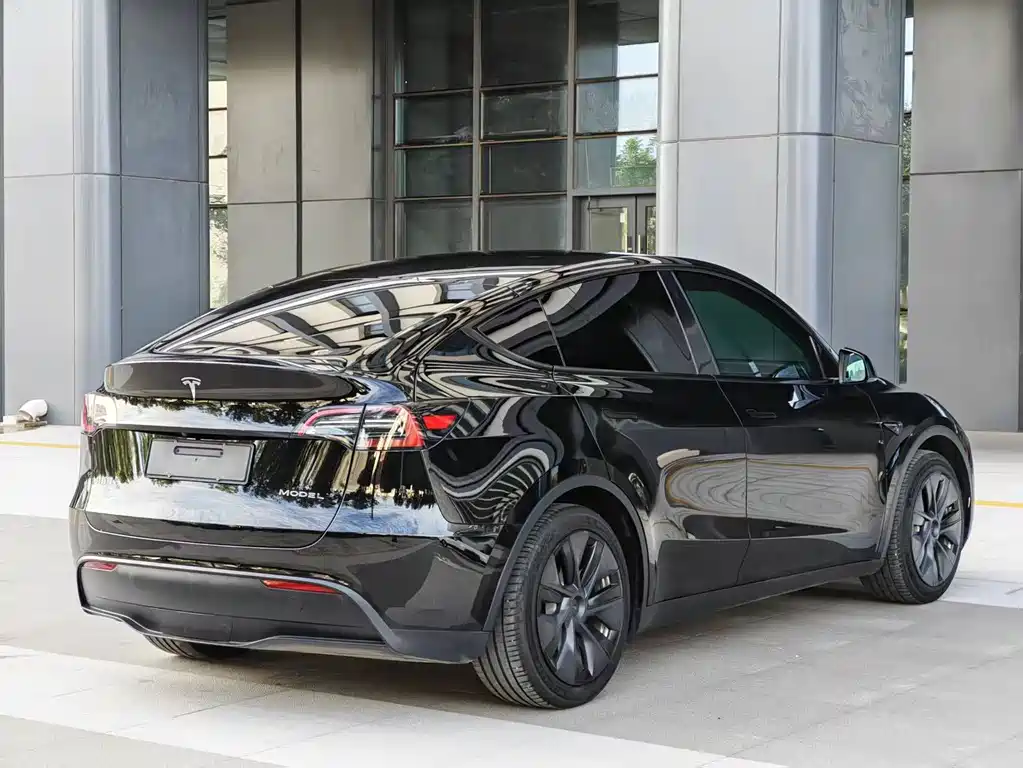 Tesla Model Y — миниатюра 8