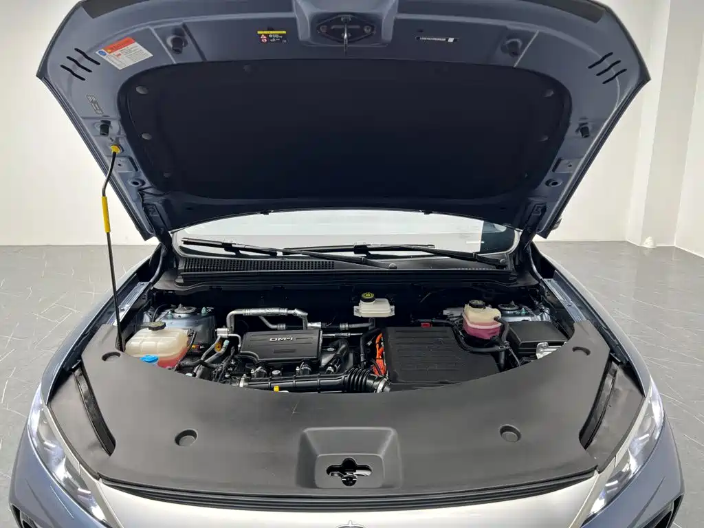 BYD Pro New Energy — миниатюра 24