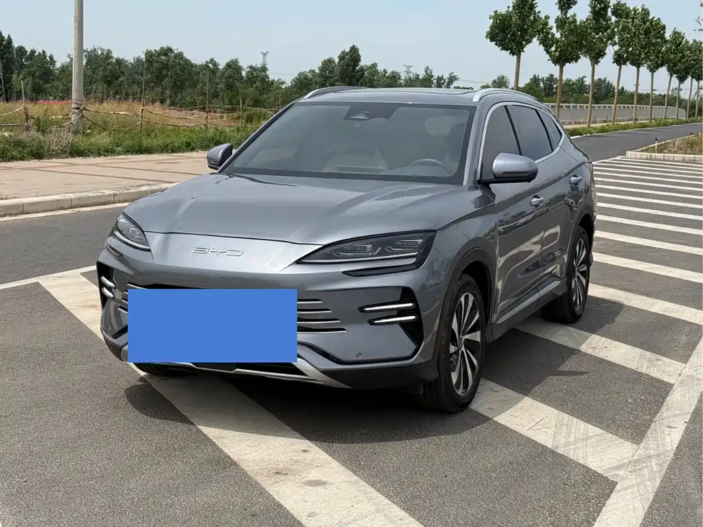 Byd PLUS New Energy 2024