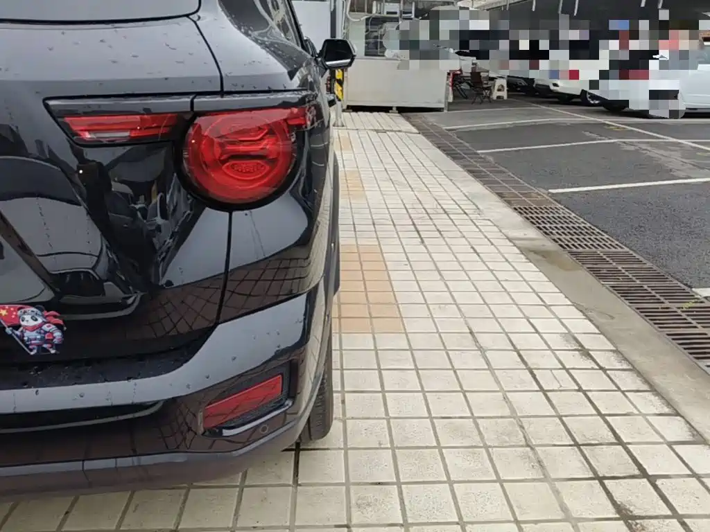 Haval Big Dog PLUS New Energy — миниатюра 8