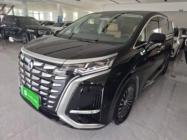 2025 Denza D9