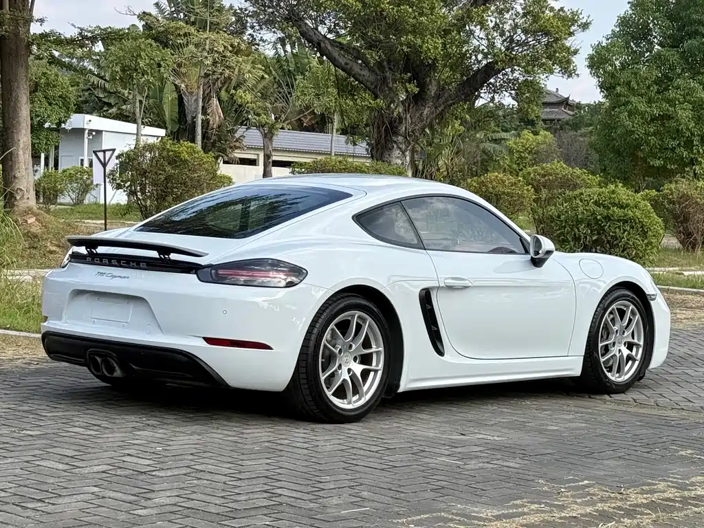 Porsche 718 — миниатюра 11