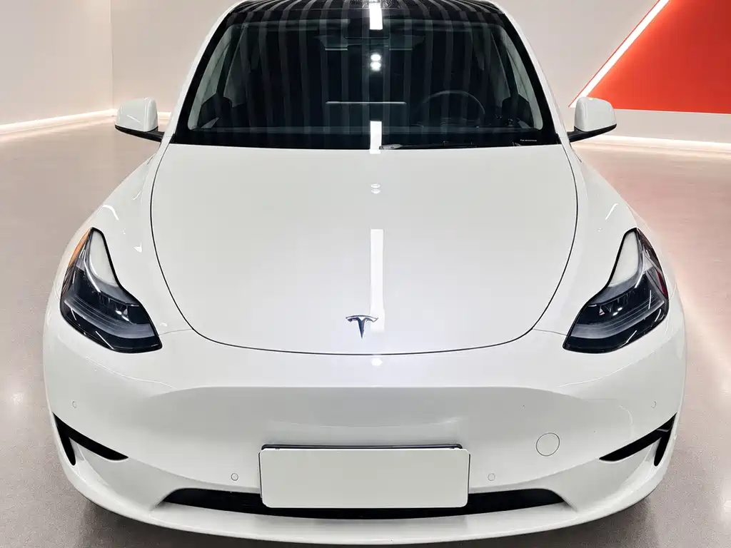 Tesla Model Y — миниатюра 2