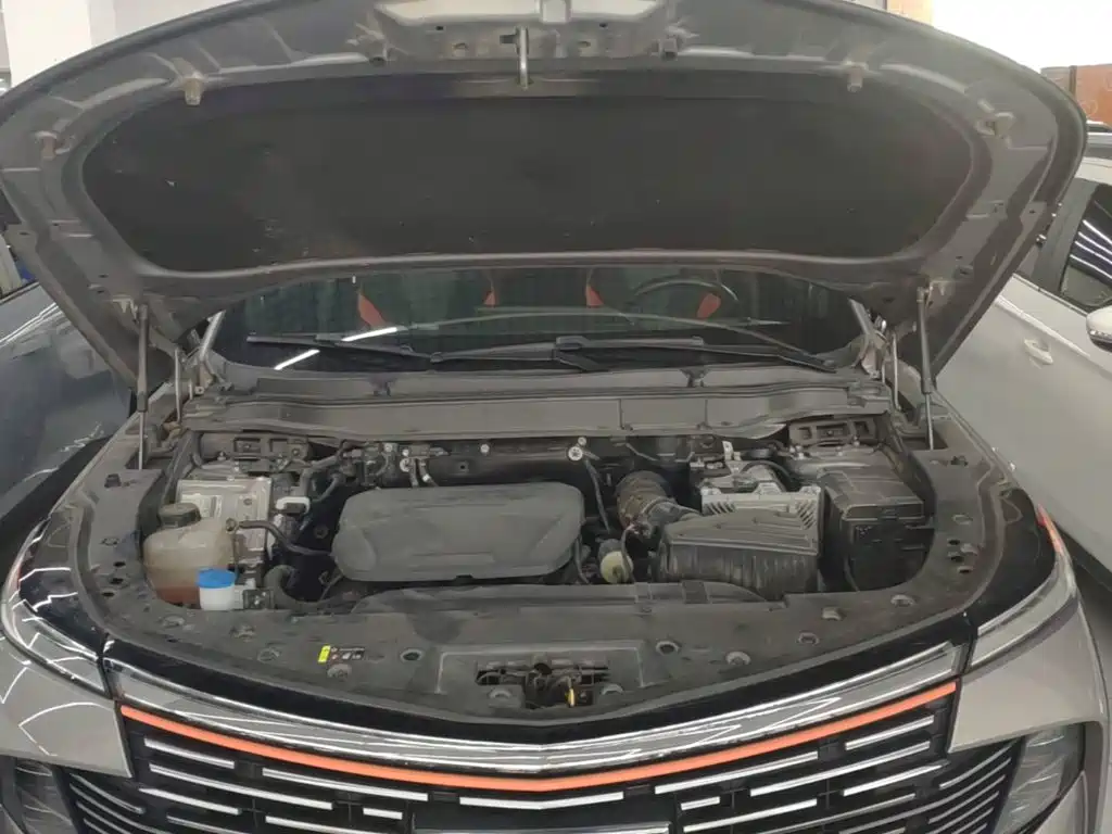 Haval Shenshou — миниатюра 20