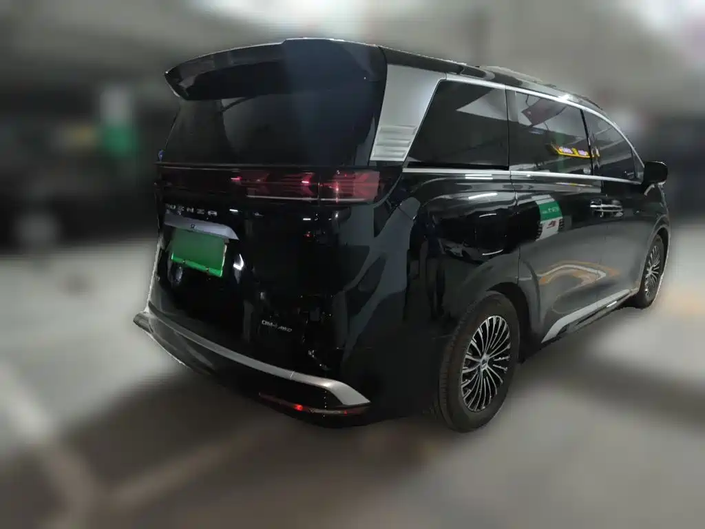 Denza Denza D9 — миниатюра 4