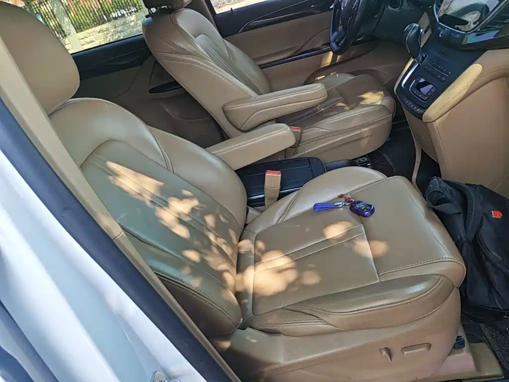 Buick GL8 — миниатюра 25