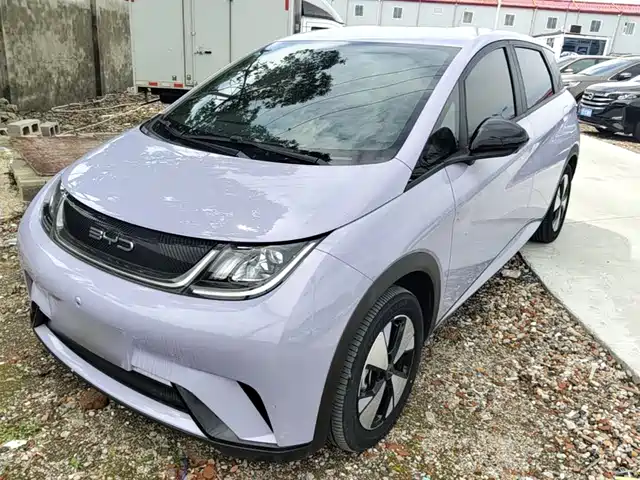 2023 BYD Dolphin