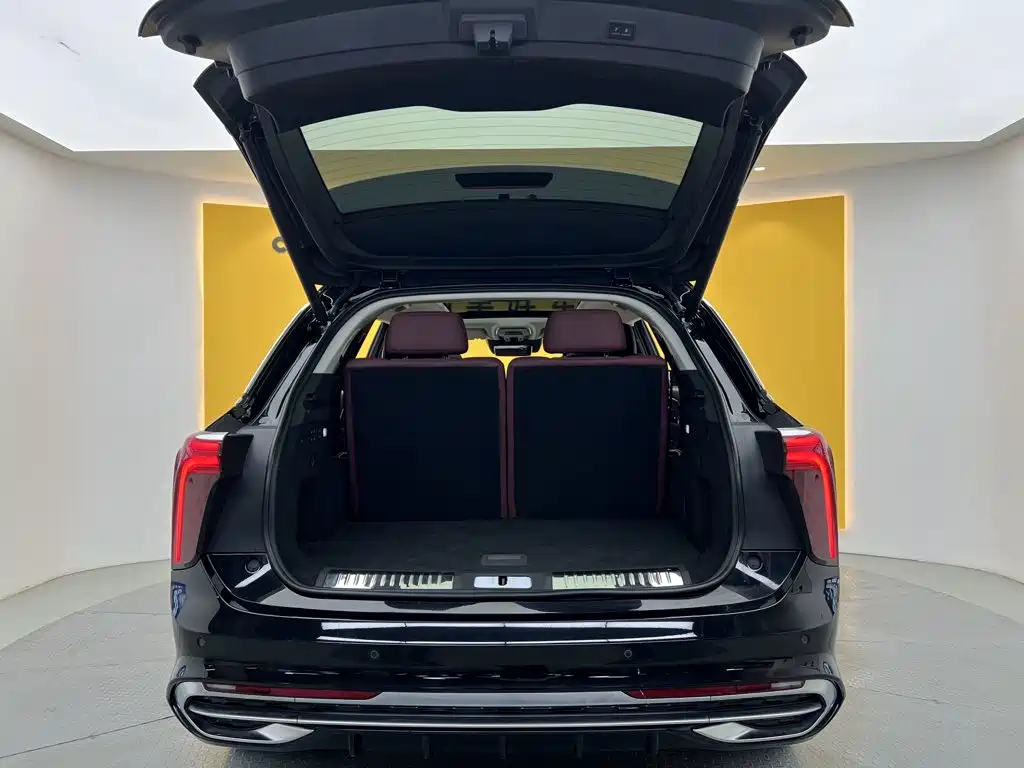 Hongqi Hongqi E-HS9 — миниатюра 12