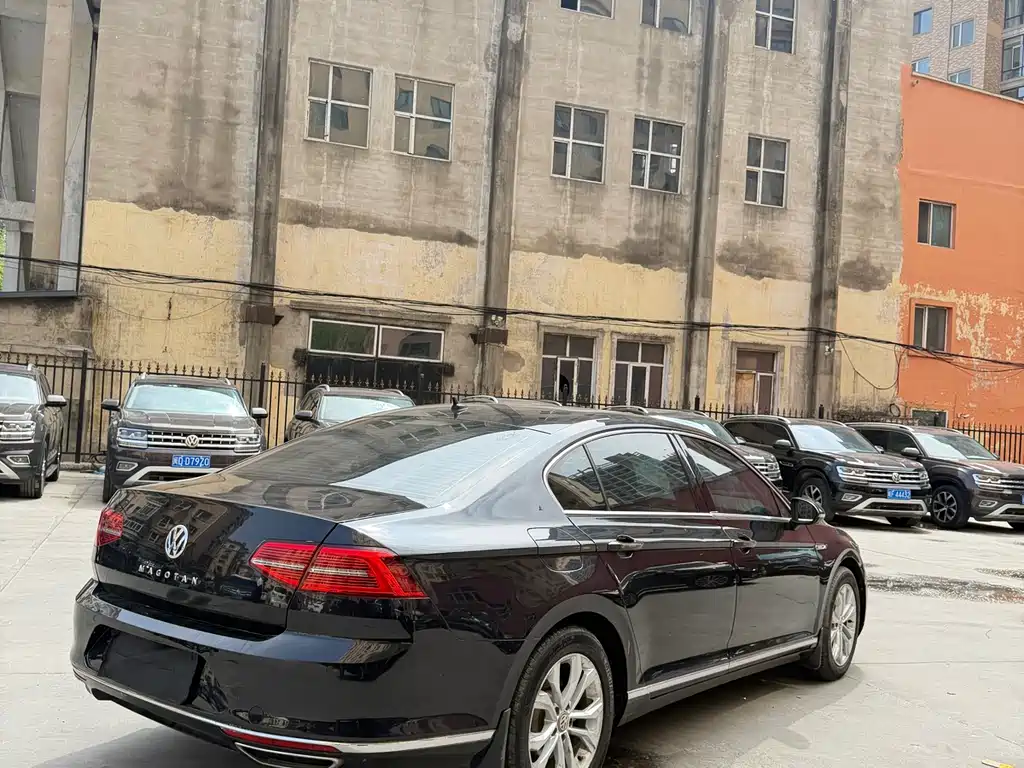 Volkswagen Magotan 2019 330TSI DSG Luxury VI