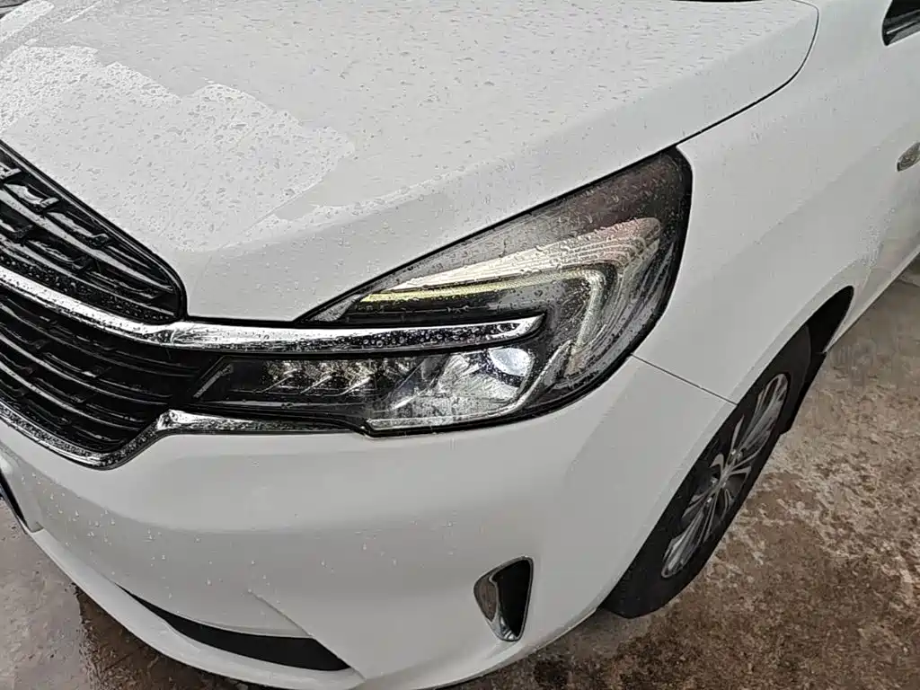 Buick GL8 — миниатюра 24