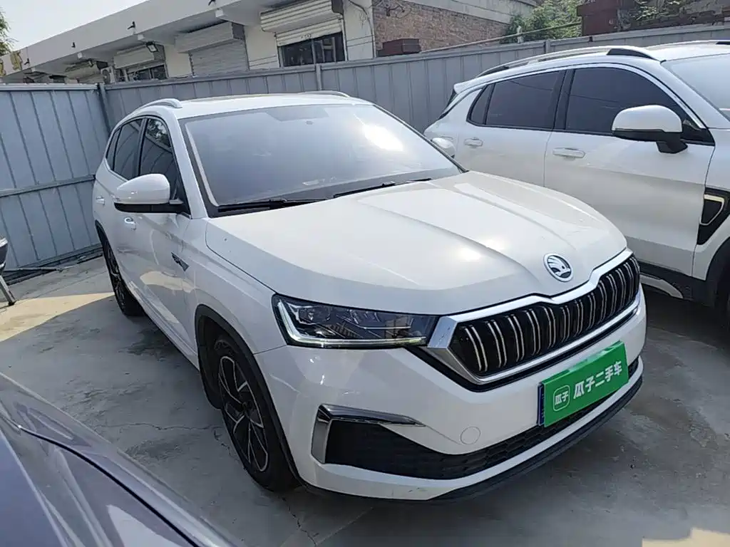 Skoda Kamiq — миниатюра 4