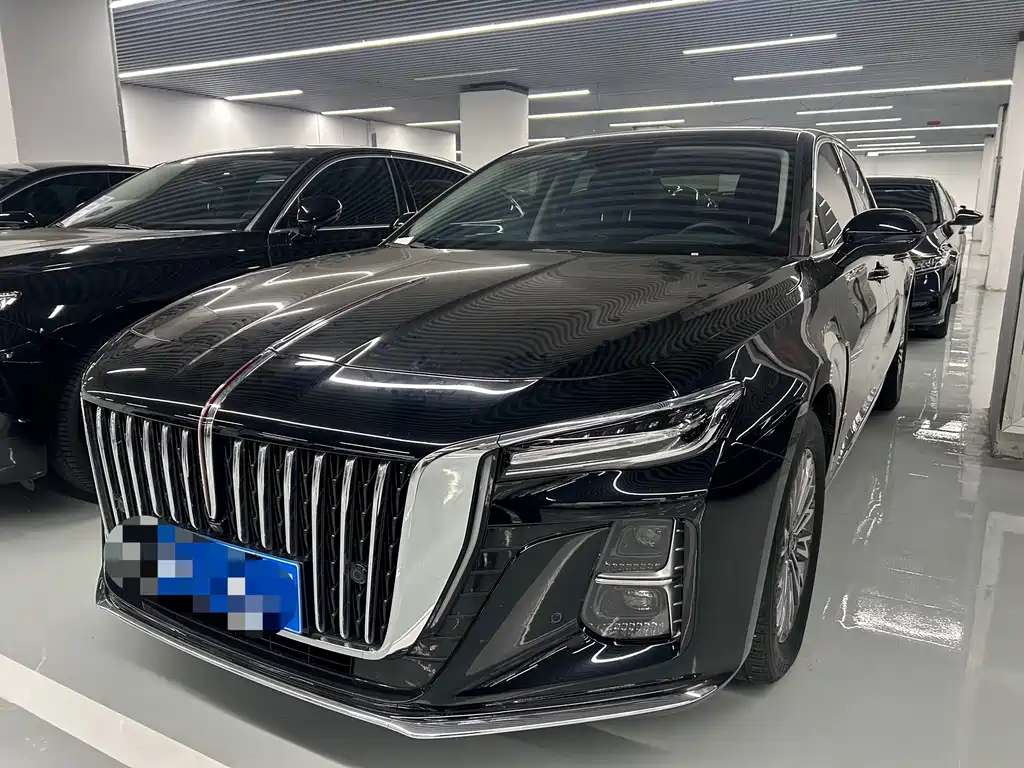 Hongqi Hongqi H5 2024