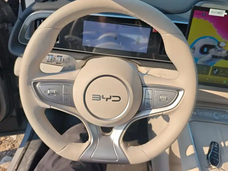 BYD Sealion 05 DM-i — миниатюра 15