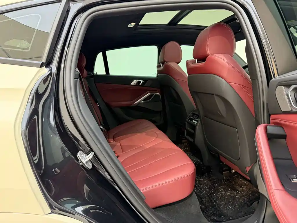 BMW X6 — миниатюра 25