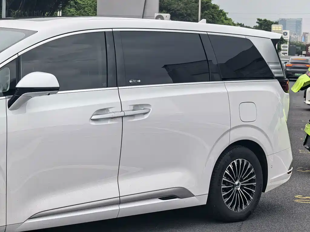 Denza Denza D9 — миниатюра 3