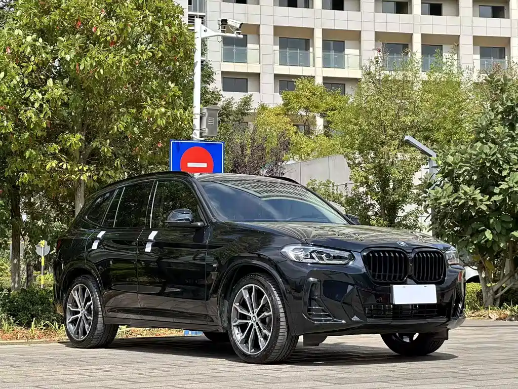 BMW X3 — миниатюра 3