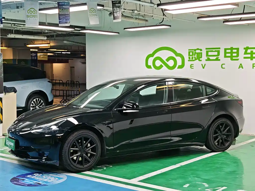 Tesla Model 3 — миниатюра 4