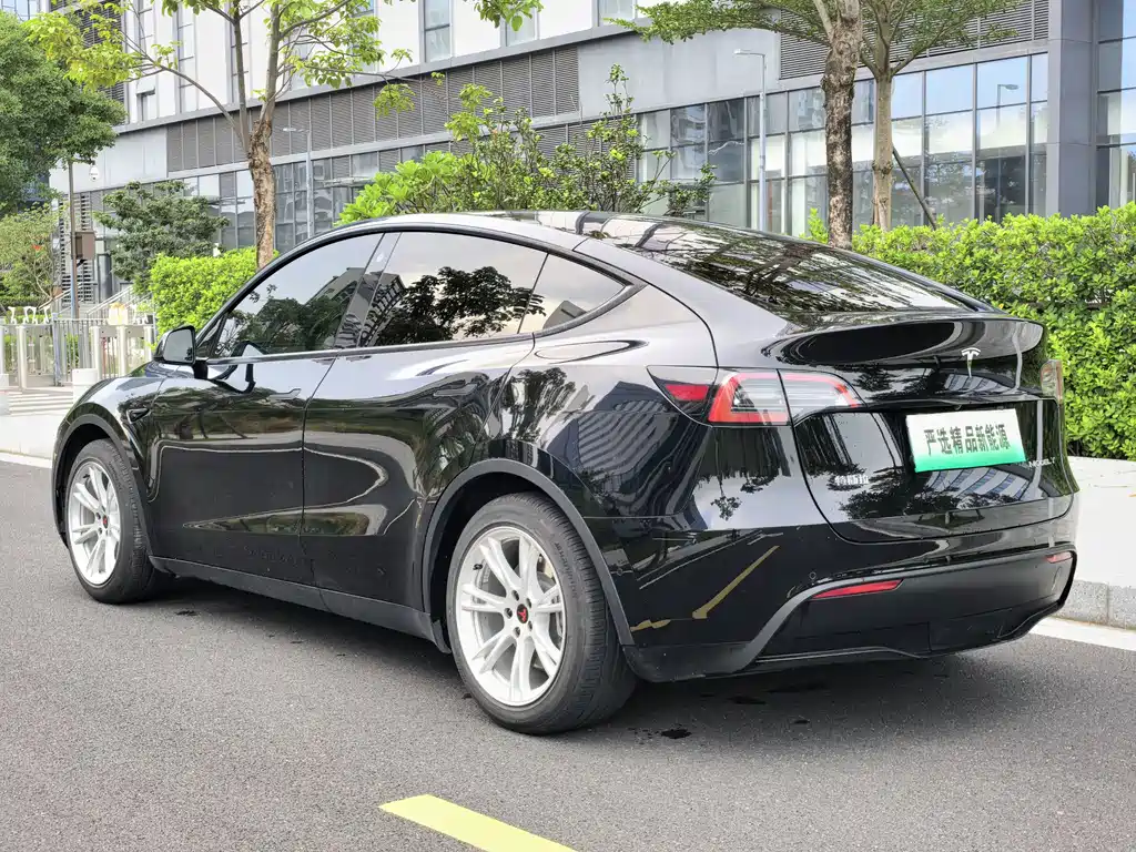 Tesla Model Y — миниатюра 5